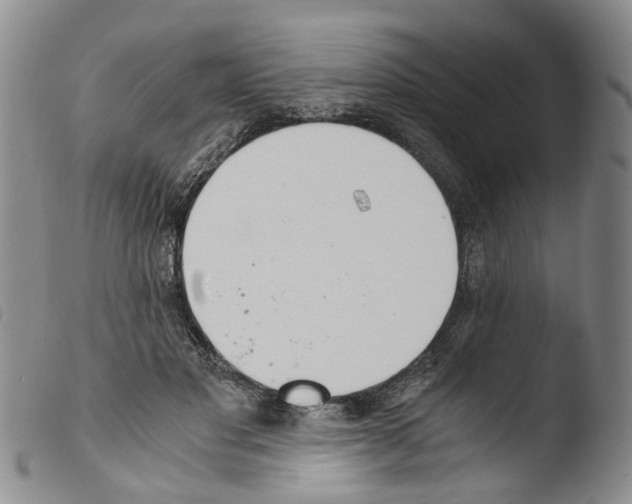 X0000103500501200810241128