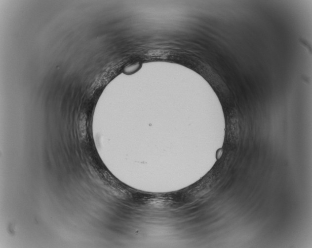 X0000103500504200810241128