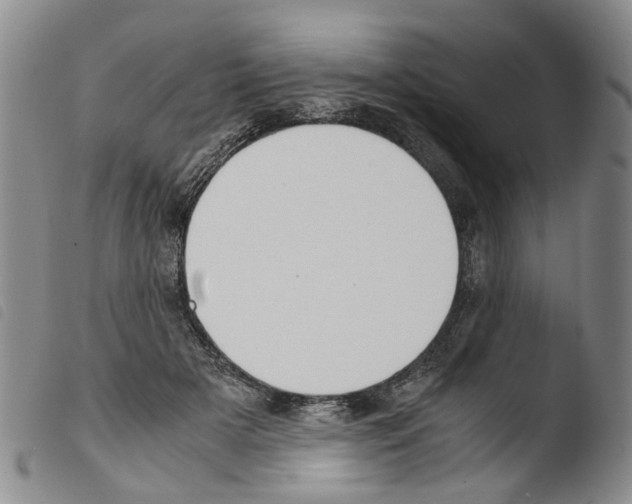 X0000103500505200810241128