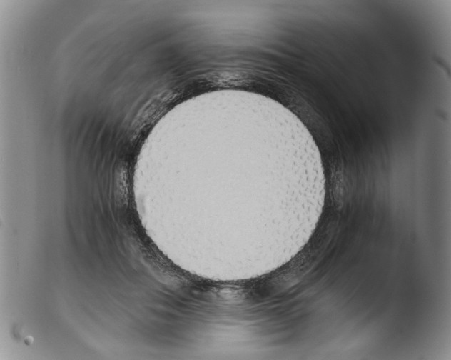 X0000103500506200810241128