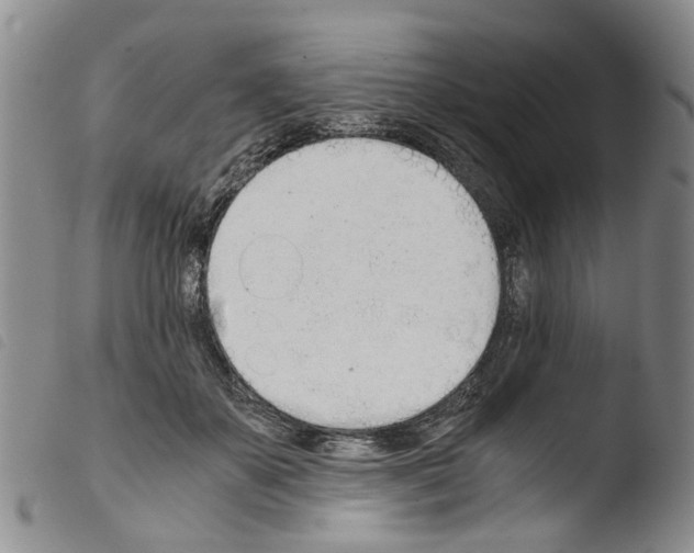 X0000103500507200810241128