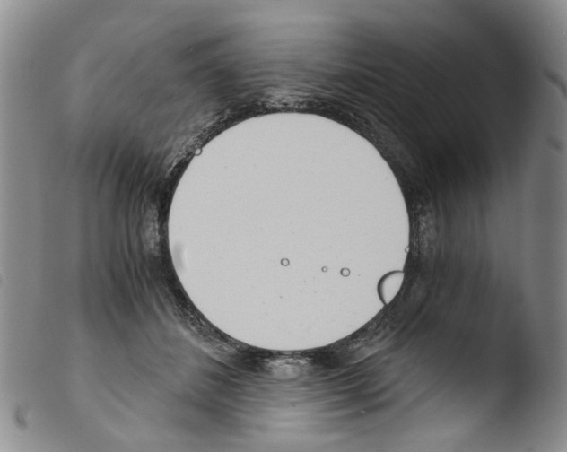 X0000103500508200810241128