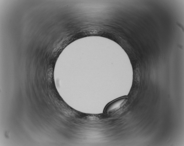 X0000103500509200810241128