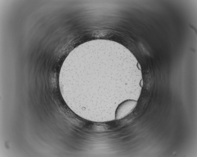 X0000103500510200810241128