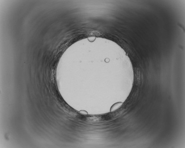 X0000103500511200810241128