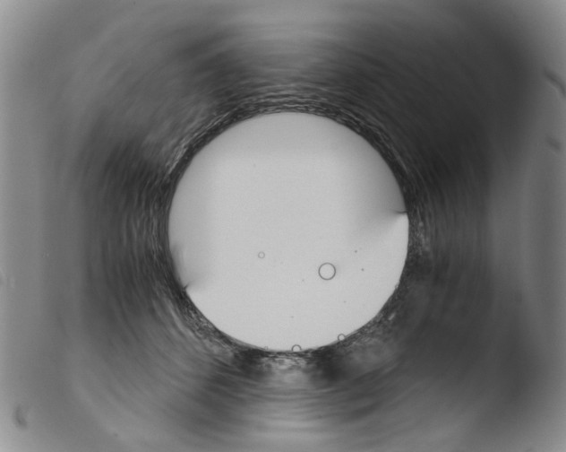 X0000103500512200810241128