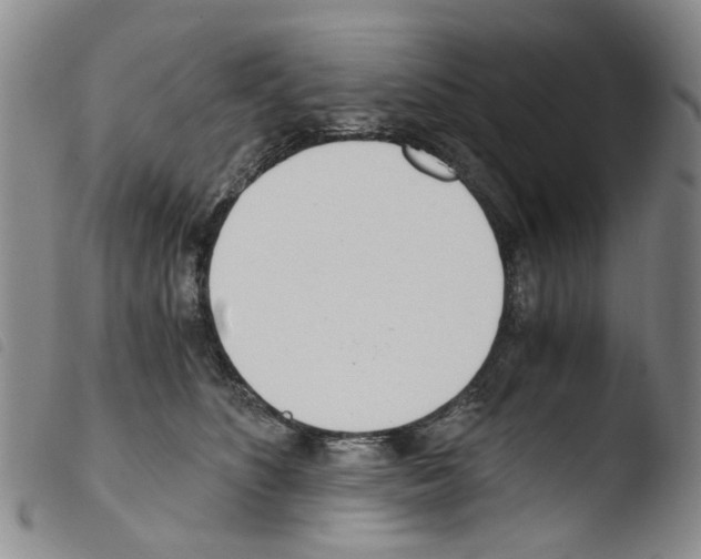 X0000103500516200810241128