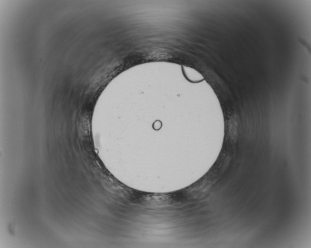 X0000103500517200810241128