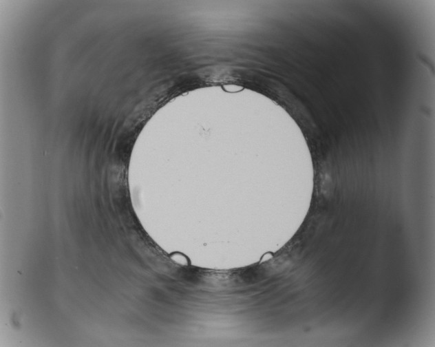 X0000103500521200810241128