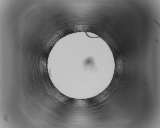 X0000103500522200810241128