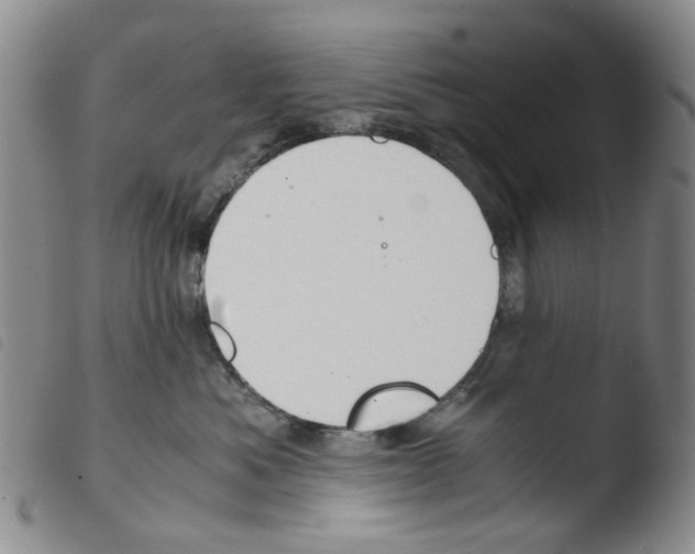 X0000103500525200810241128