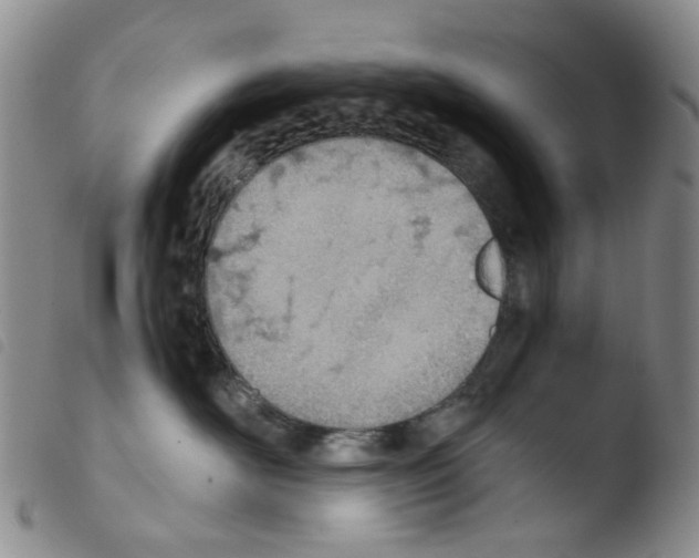 X0000103500526200810241128