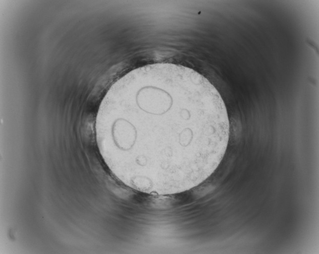 X0000103500527200810241128