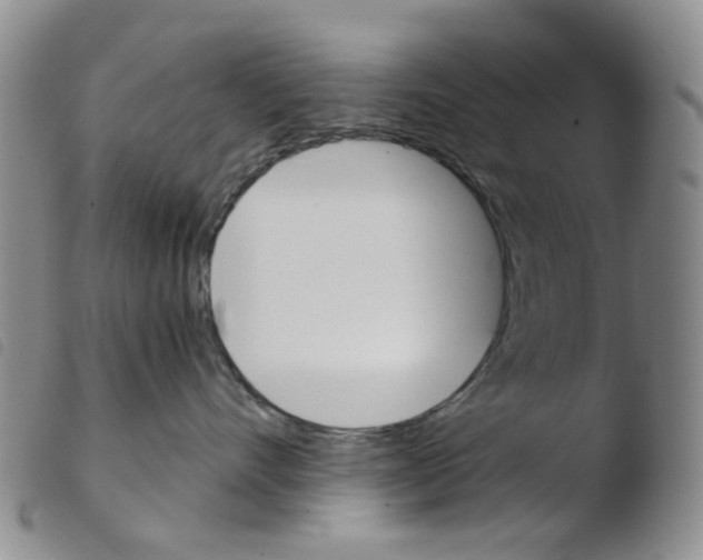 X0000103500528200810241128