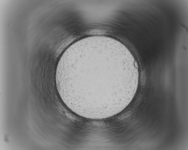 X0000103500529200810241127