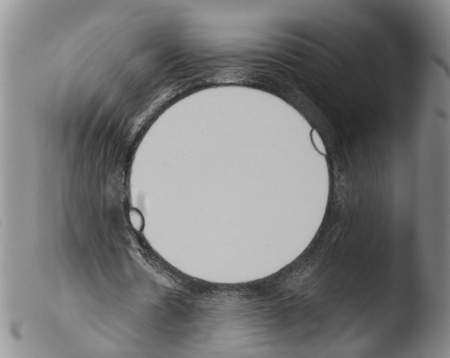 X0000103500530200810241127