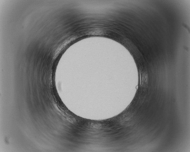 X0000103500531200810241127