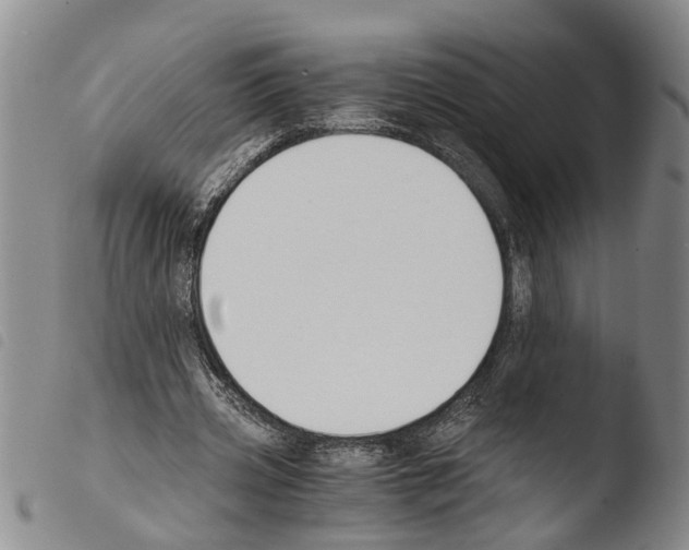 X0000103500533200810241127