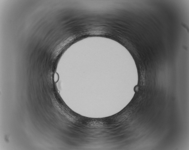 X0000103500535200810241127