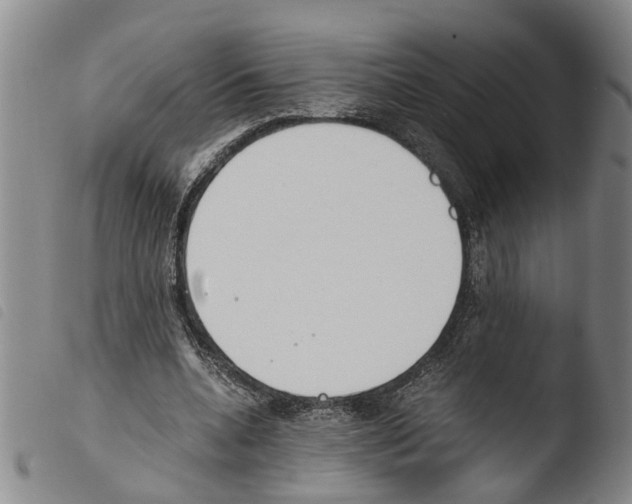 X0000103500536200810241127