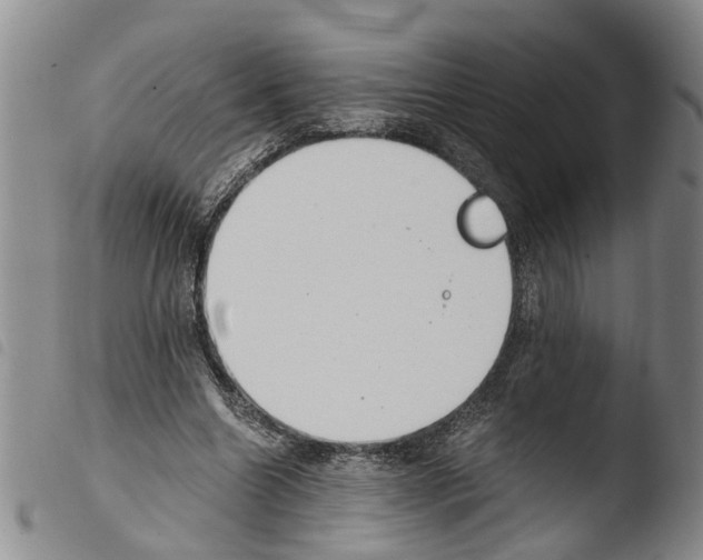 X0000103500538200810241127