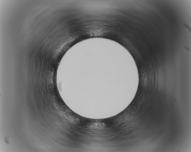 X0000103500543200810241127