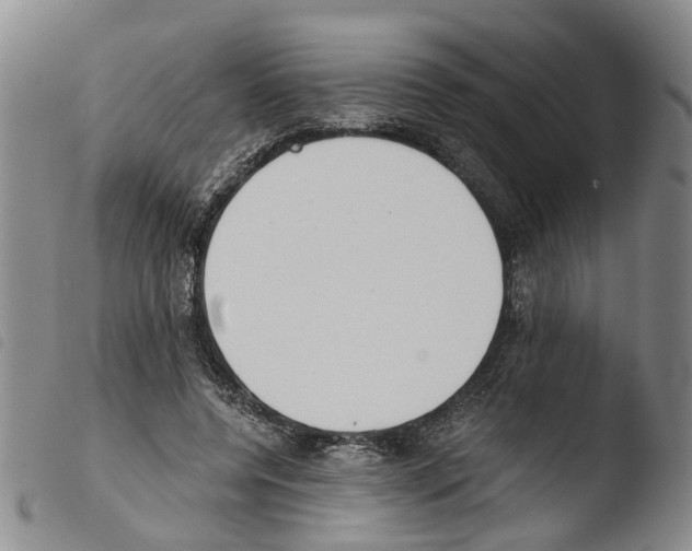 X0000103500544200810241127