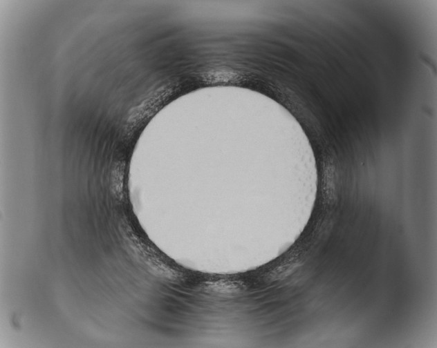 X0000103500545200810241127