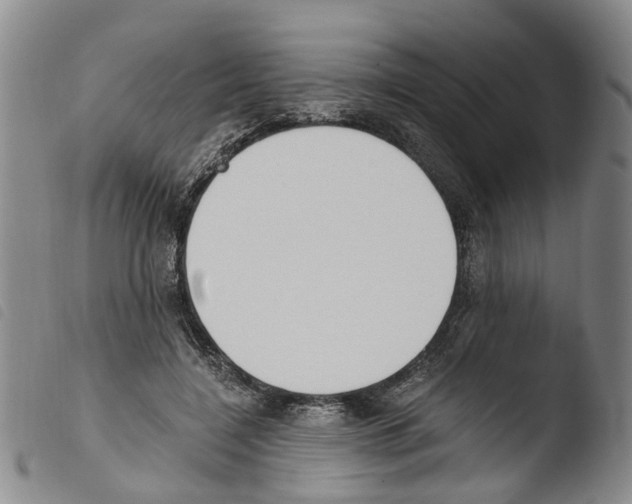 X0000103500548200810241127