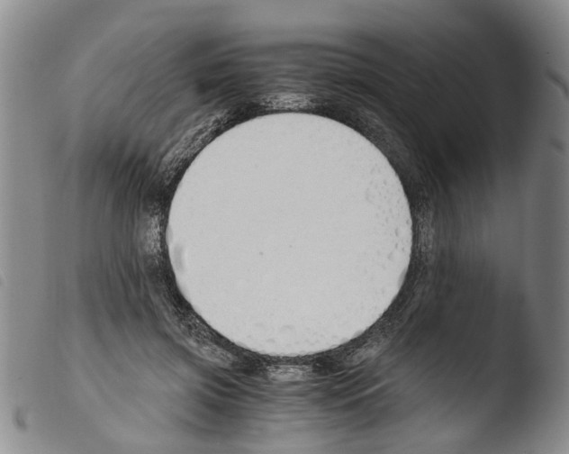 X0000103500549200810241127