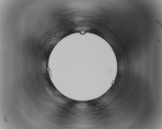 X0000103500551200810241127