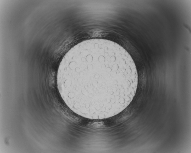 X0000103500554200810241127