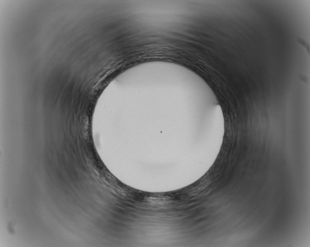 X0000103500556200810241127