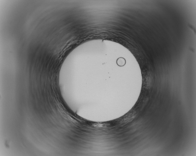 X0000103500558200810241127