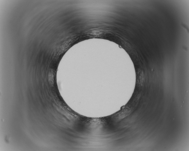 X0000103500562200810241127