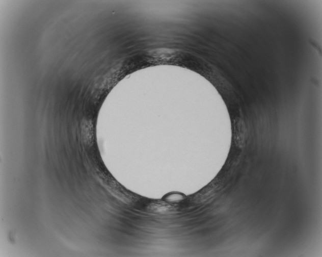 X0000103500563200810241127