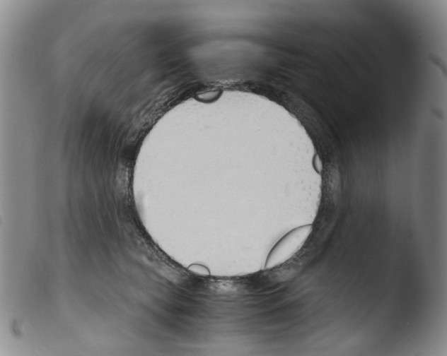 X0000103500565200810241127