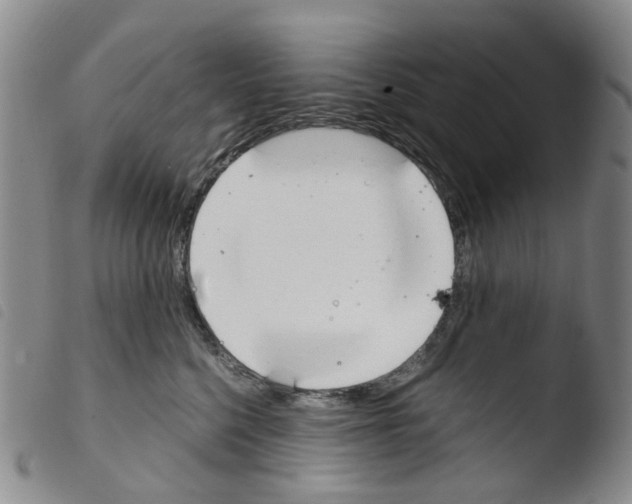 X0000103500568200810241127