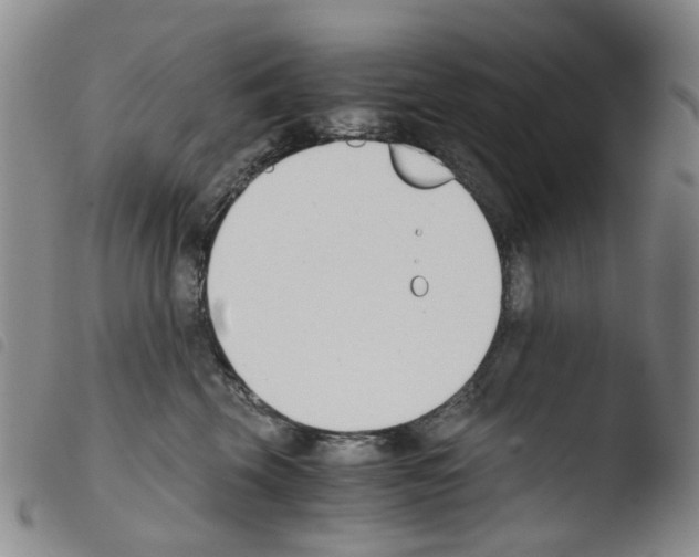 X0000103500569200810241127