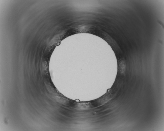 X0000103500571200810241127