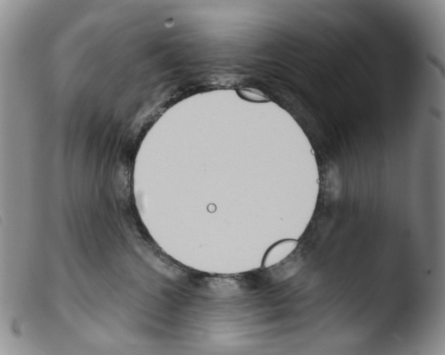 X0000103500572200810241127