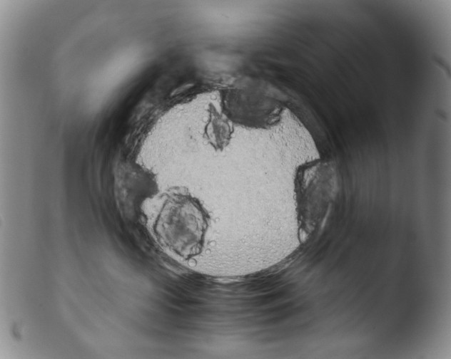 X0000103500573200810241127