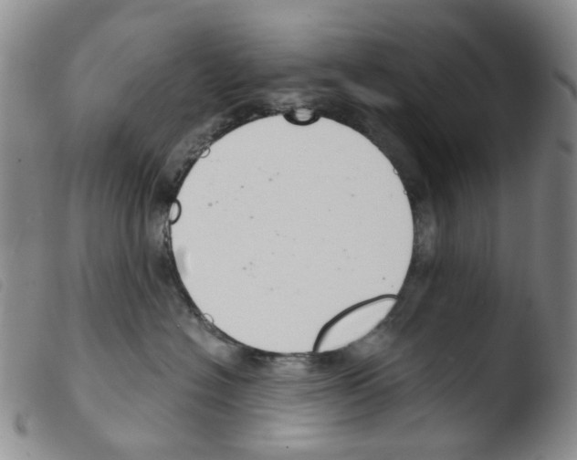 X0000103500574200810241127