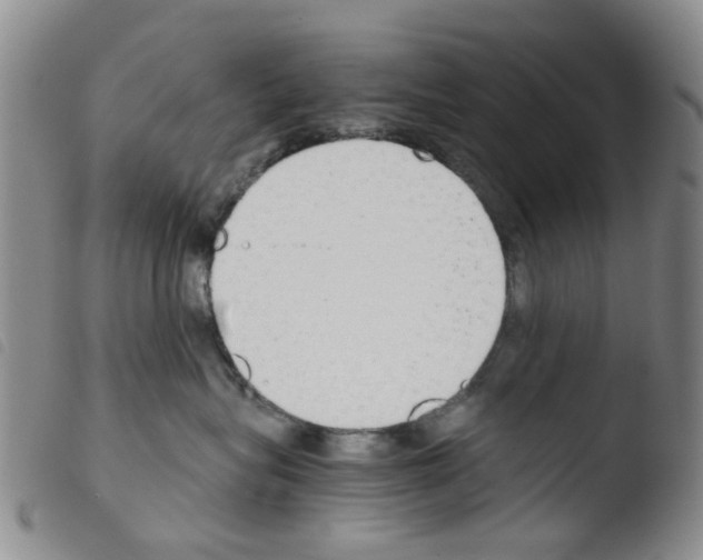 X0000103500575200810241128