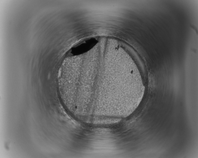 X0000103500577200810241127