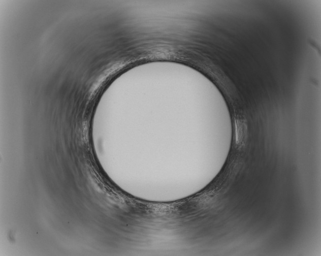 X0000103500579200810241127