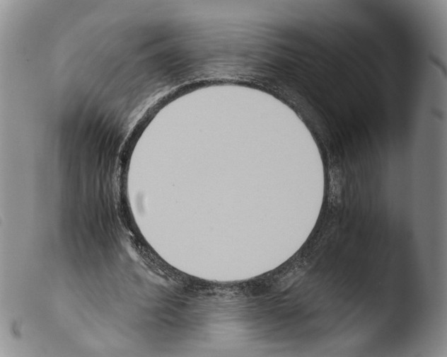 X0000103500580200810241127