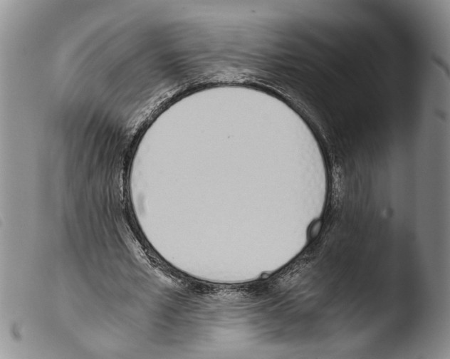 X0000103500581200810241127