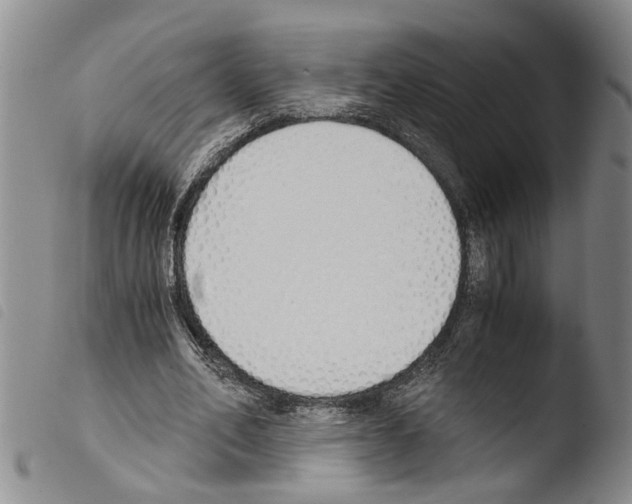 X0000103500582200810241127