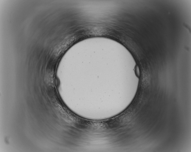 X0000103500585200810241127